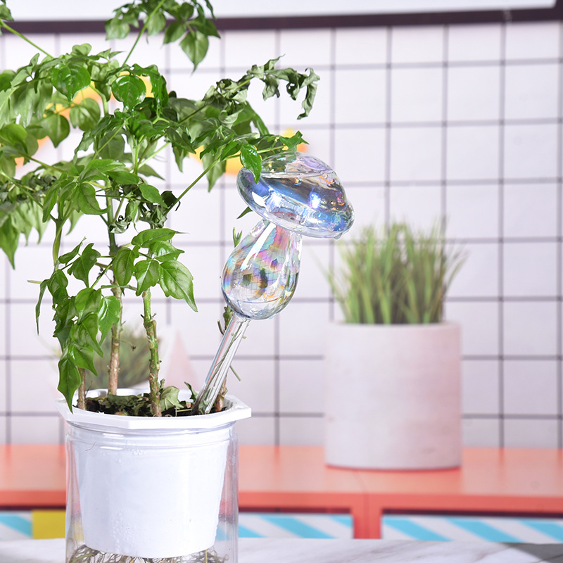 1/2PCS Glass Straw Automatic P - Smart Garden Auk review and price
