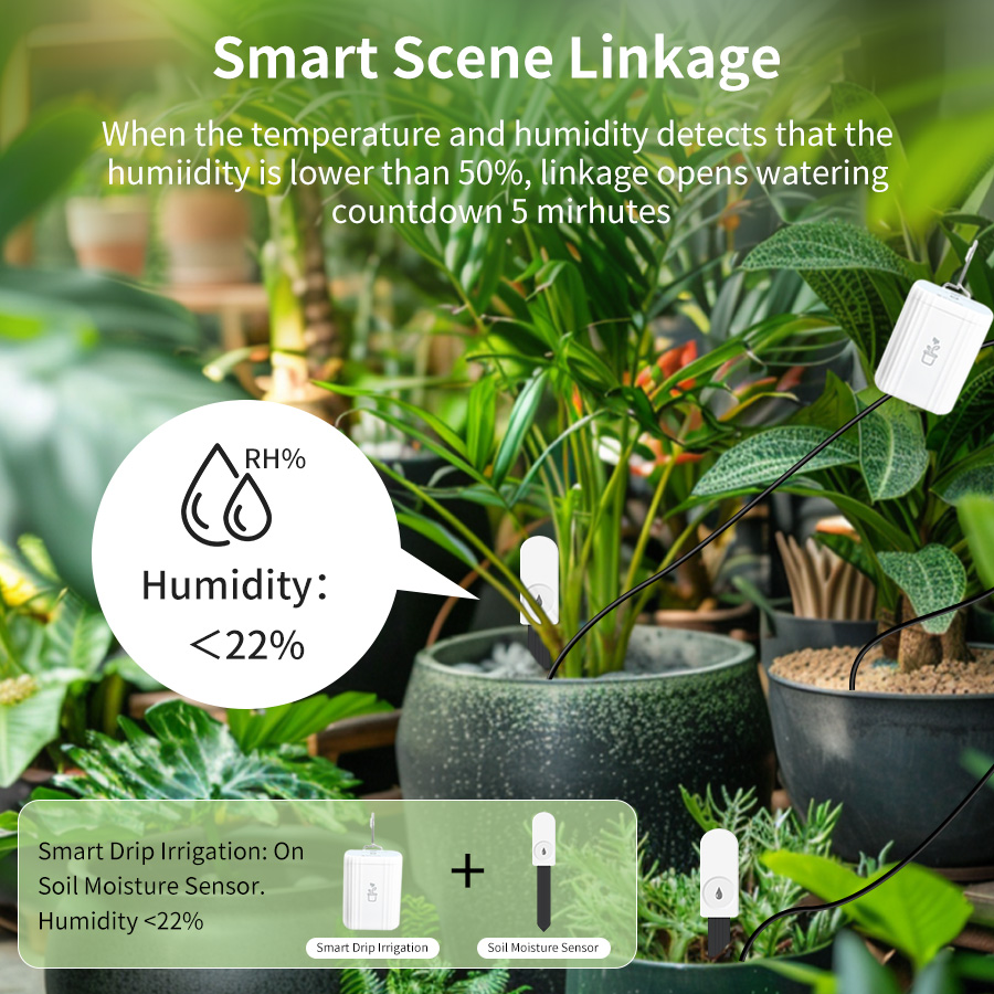 Smart Zigbee 3.0 Soil Tester H - Smart Soil Sensor review and price