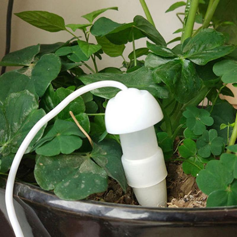 Plant Automatic Watering Devic - Smart Garden Auk review and price