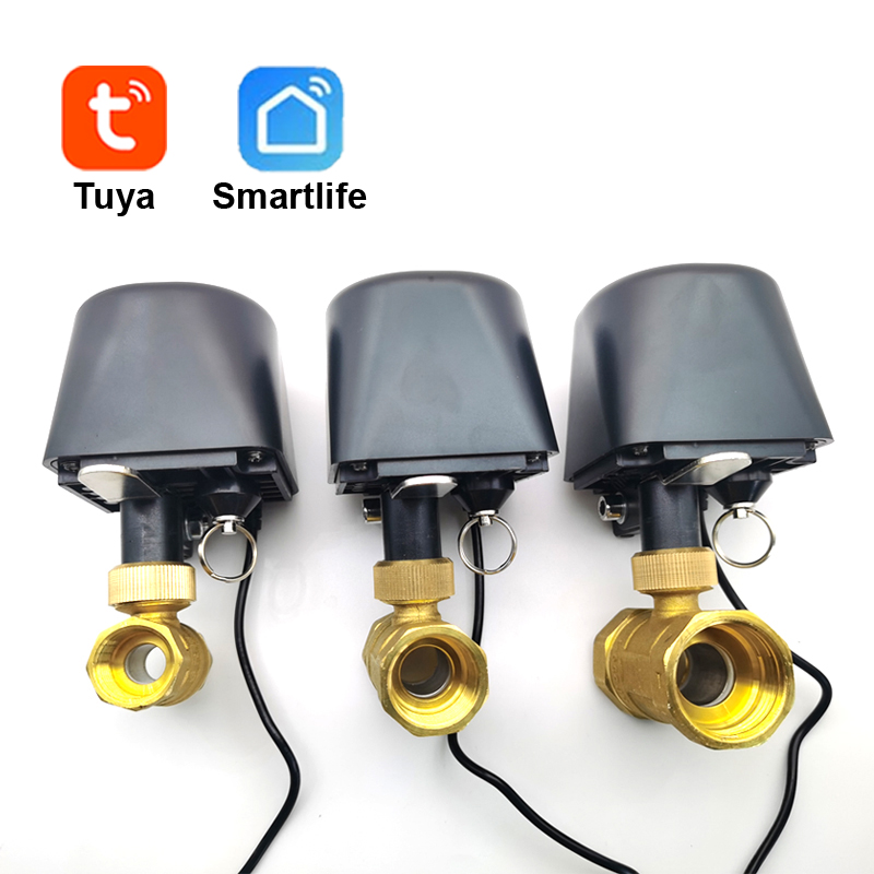 Tuya WiFi or Zigbee Water Valv - Wifi Irrigation Timer review and price